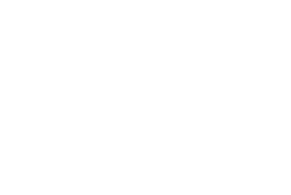 The Jewellery Muse